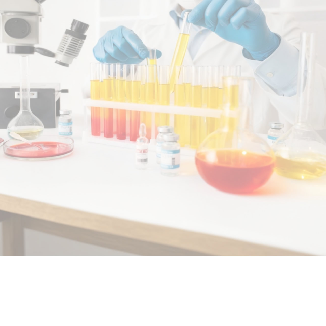 Login Full Background